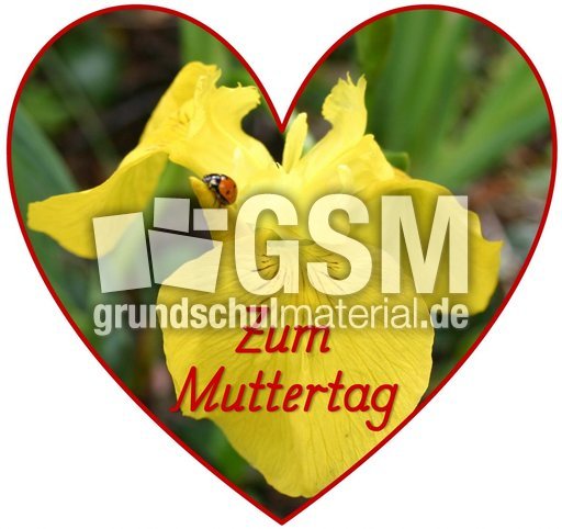 Herz-Foto-Muttertag_49.jpg